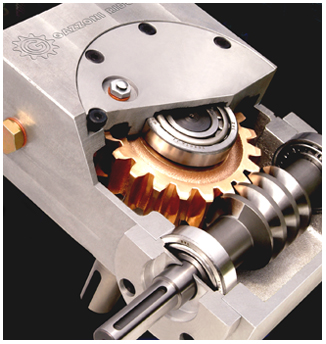 Gazzoni costruzione ingranaggi